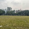 Field 