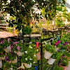 Outdoor seating