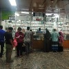 Pharmacy 