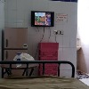 Hospital Bed