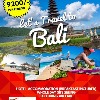 Tour to Bali