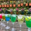 Drinks