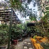 Roof top