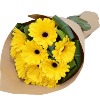 Yellow Gerbera Bouquet