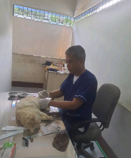 JDM Vet Care - Photo 1