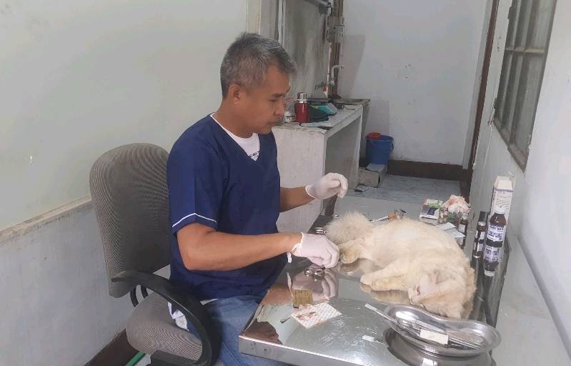 JDM Vet Care - Photo 2