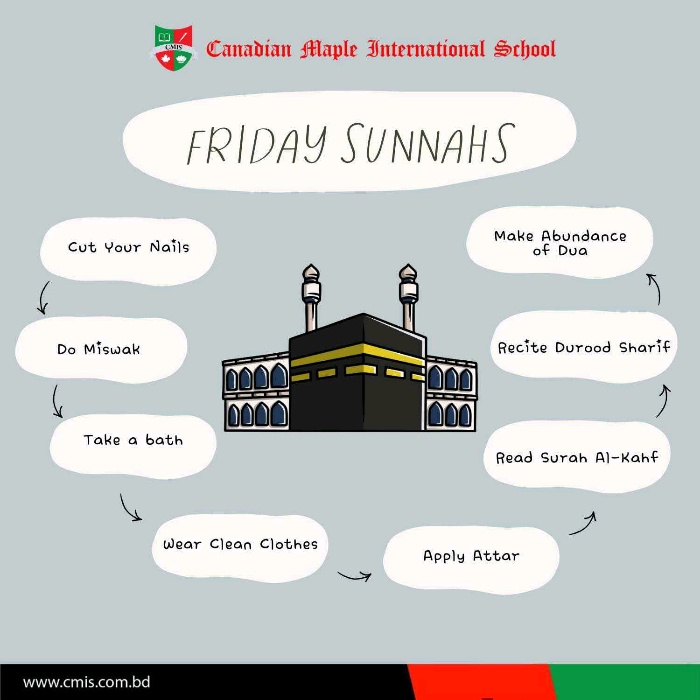 Canadian Maple International School - Photo 5