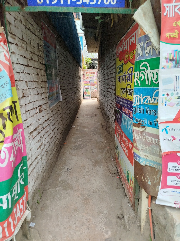 Front view