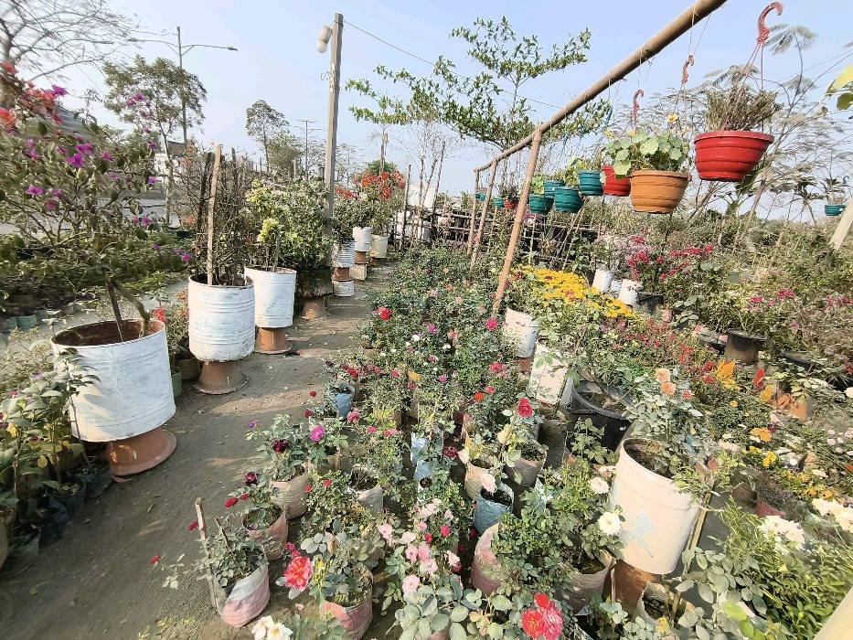 Bd Rose Garden  - Photo 3