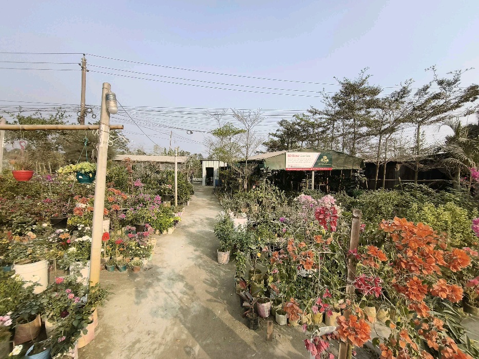 Bd Rose Garden  - Photo 7