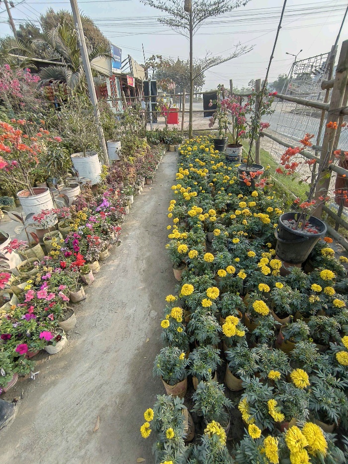 Bd Rose Garden  - Photo 8