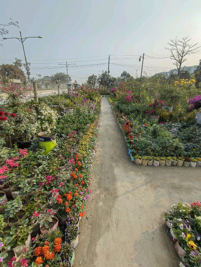 Nohakhali Nursery  - Photo 3
