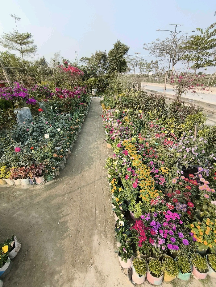Nohakhali Nursery  - Photo 4