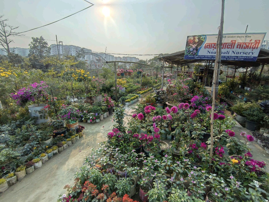 Nohakhali Nursery  - Photo 5