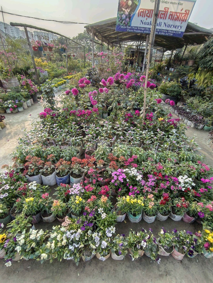 Nohakhali Nursery  - Photo 6