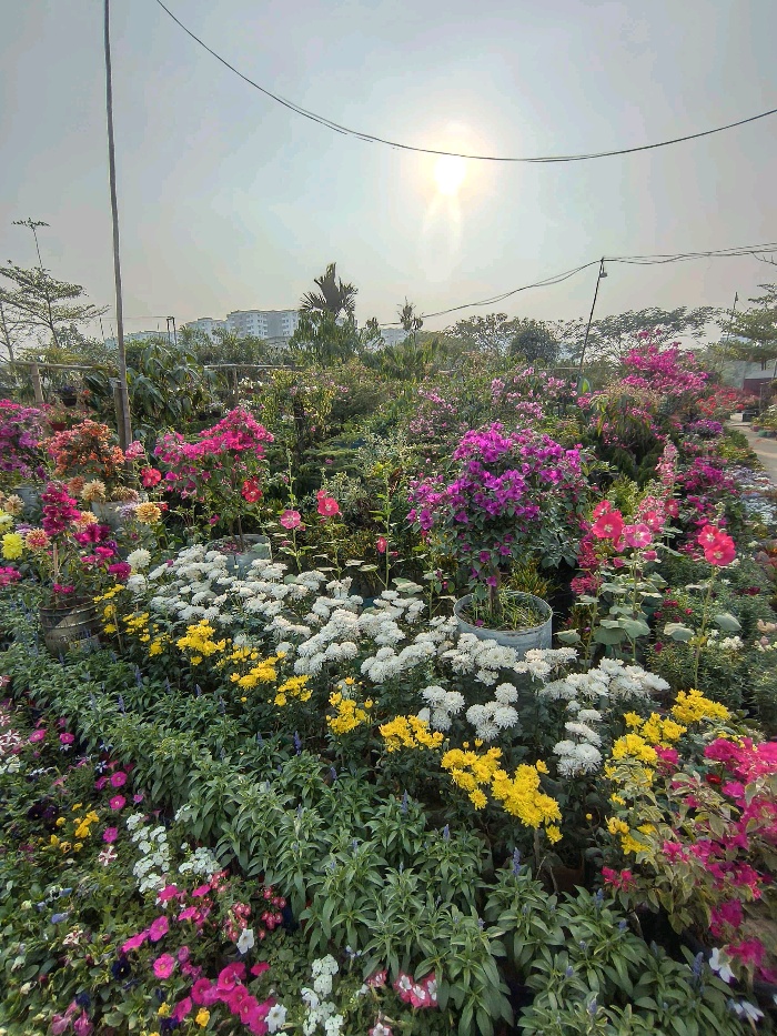 Ararat Garden - Photo 1