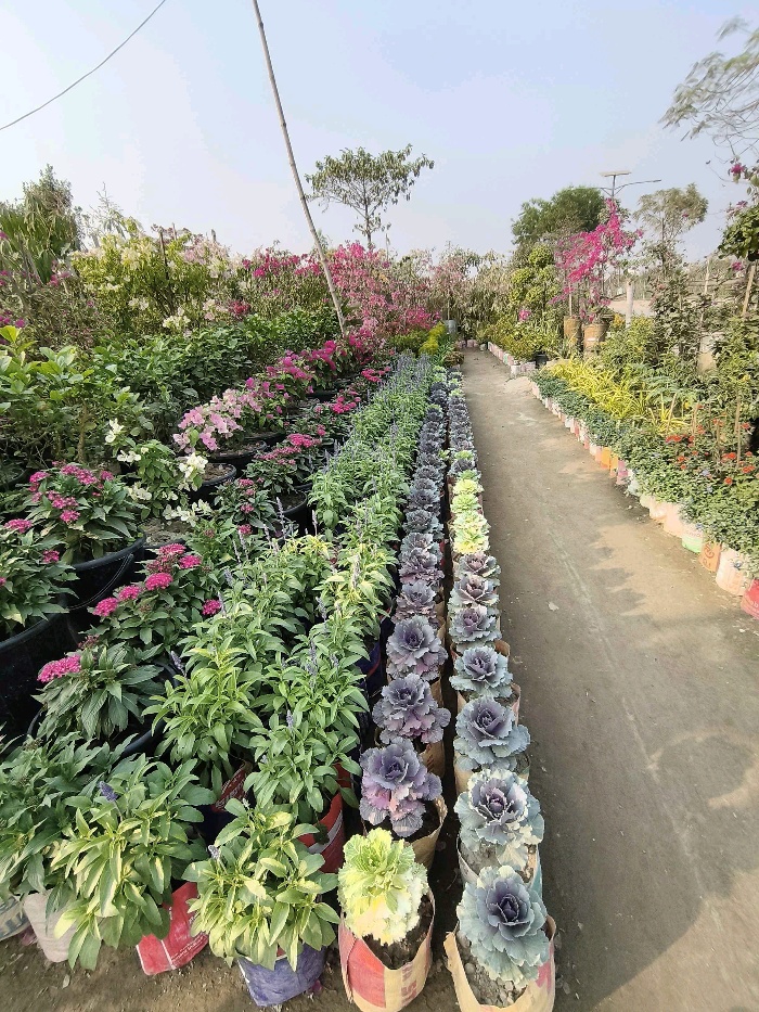 Ararat Garden - Photo 3