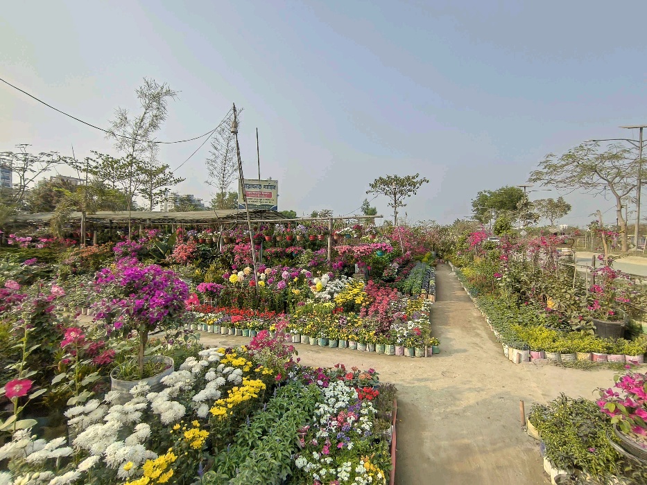 Ararat Garden - Photo 5