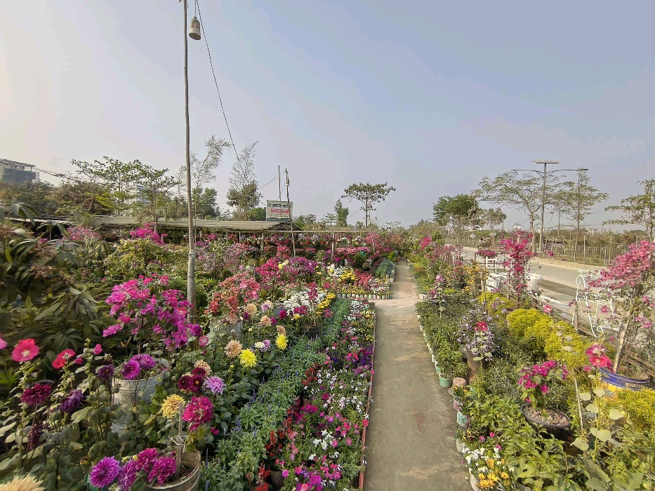 Ararat Garden - Photo 6