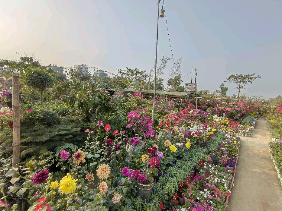 Ararat Garden - Photo 7