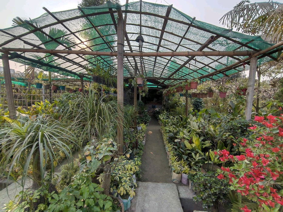 Green Land Nursery - Photo 2