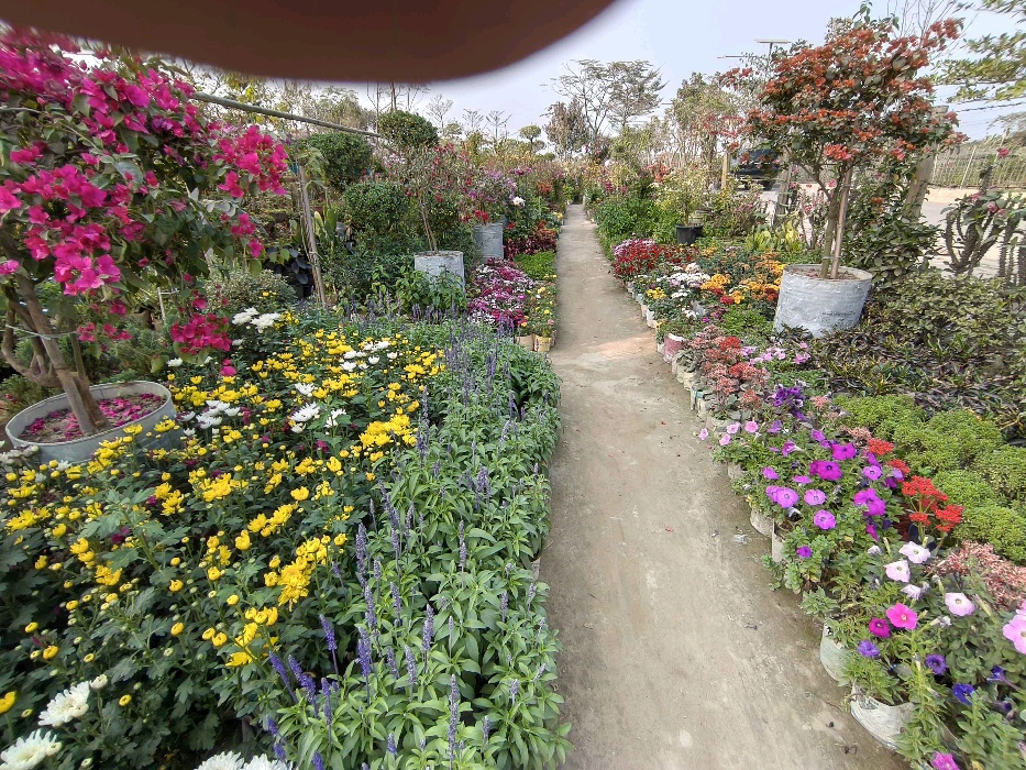 Green Land Nursery - Photo 4