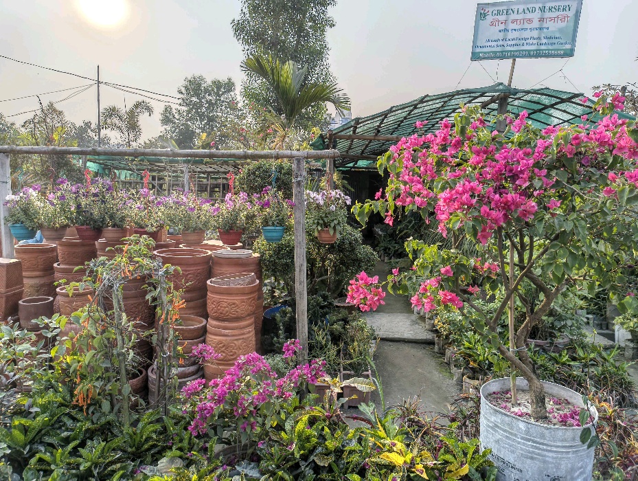 Green Land Nursery - Photo 6