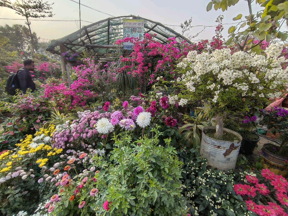 Ma Babar Dowa Nursery  - Photo 2