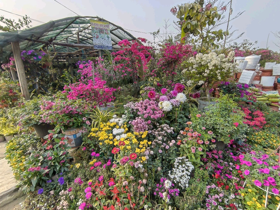 Ma Babar Dowa Nursery  - Photo 3
