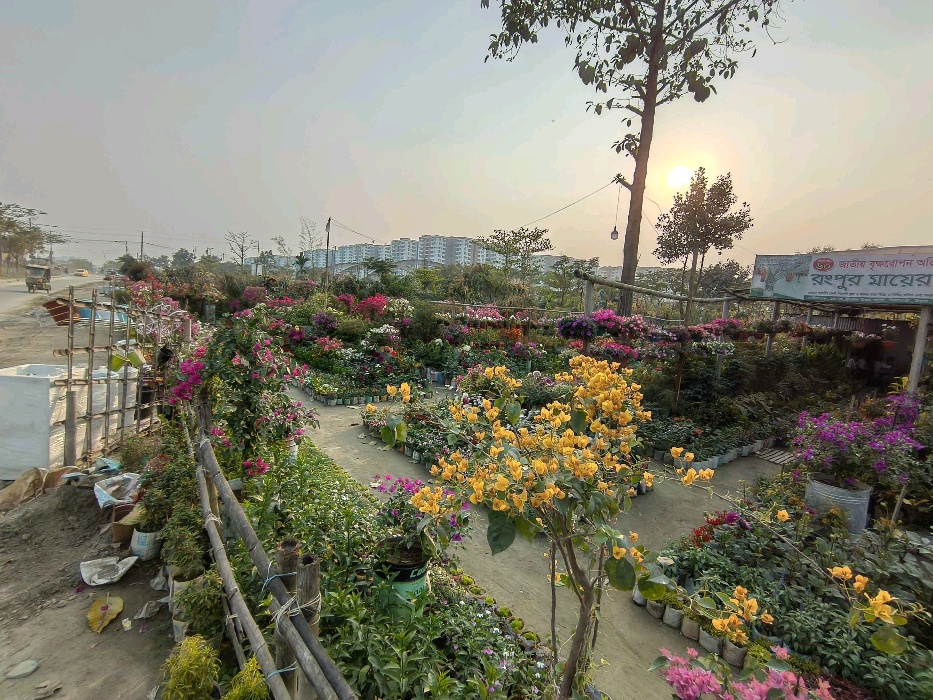 Rangpur Ma Er Dowa Nursery  - Photo 1
