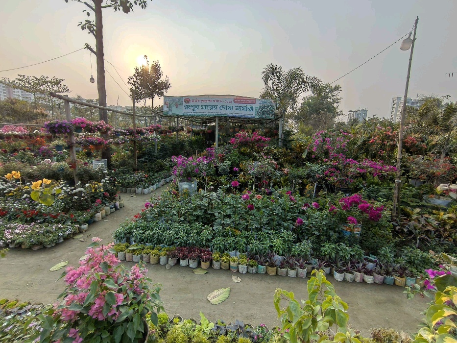 Rangpur Ma Er Dowa Nursery  - Photo 2