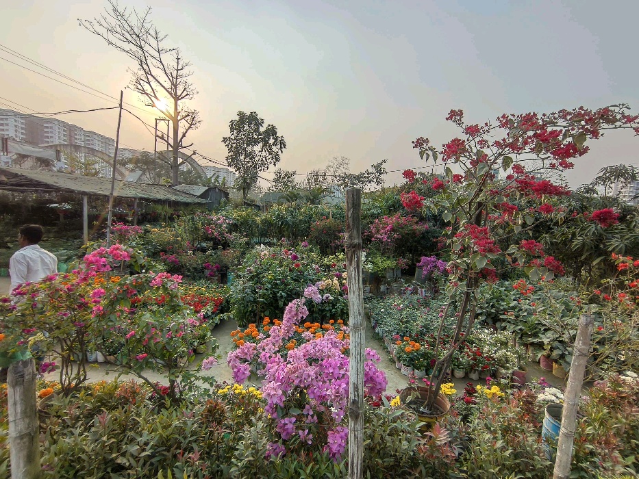 Ma Er Dowa Nursery -2 - Photo 1