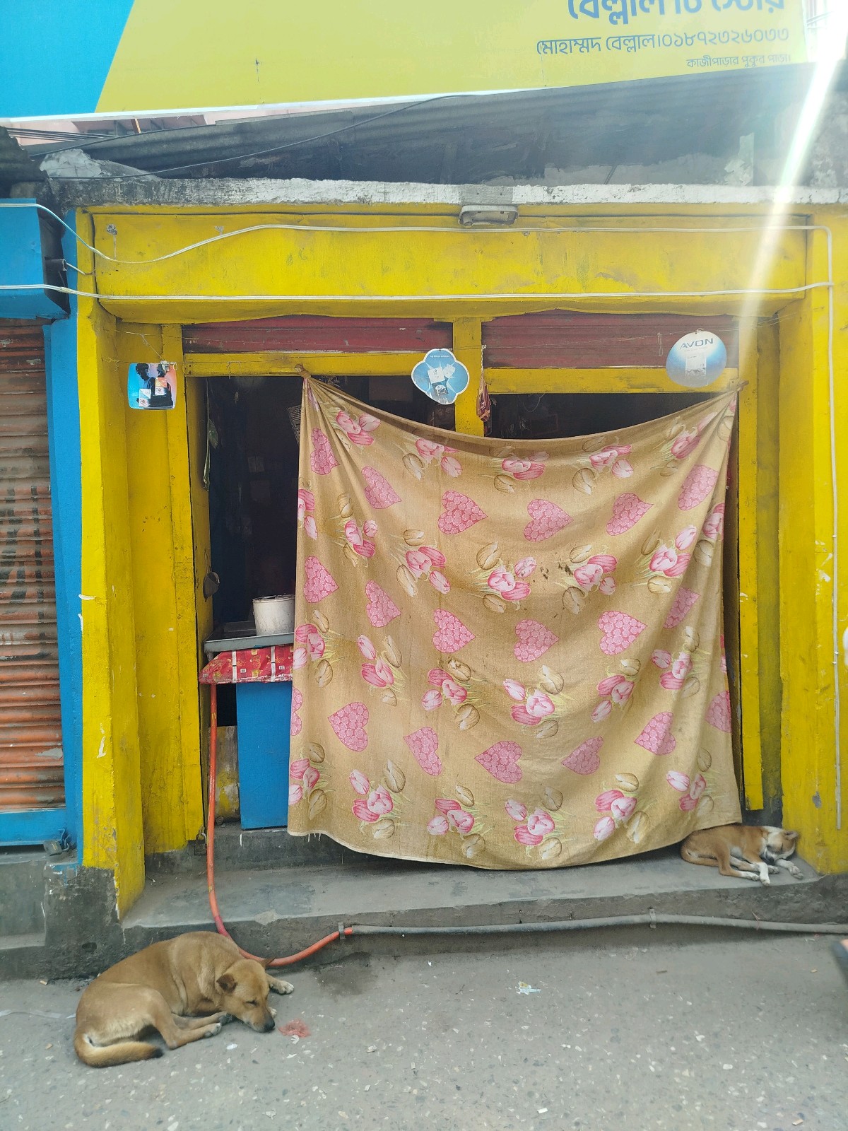 Front view
