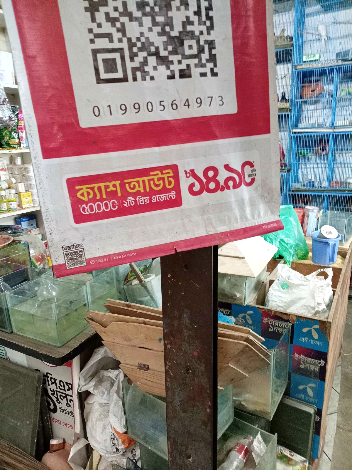 Ayaan Pet Shop - Photo 2