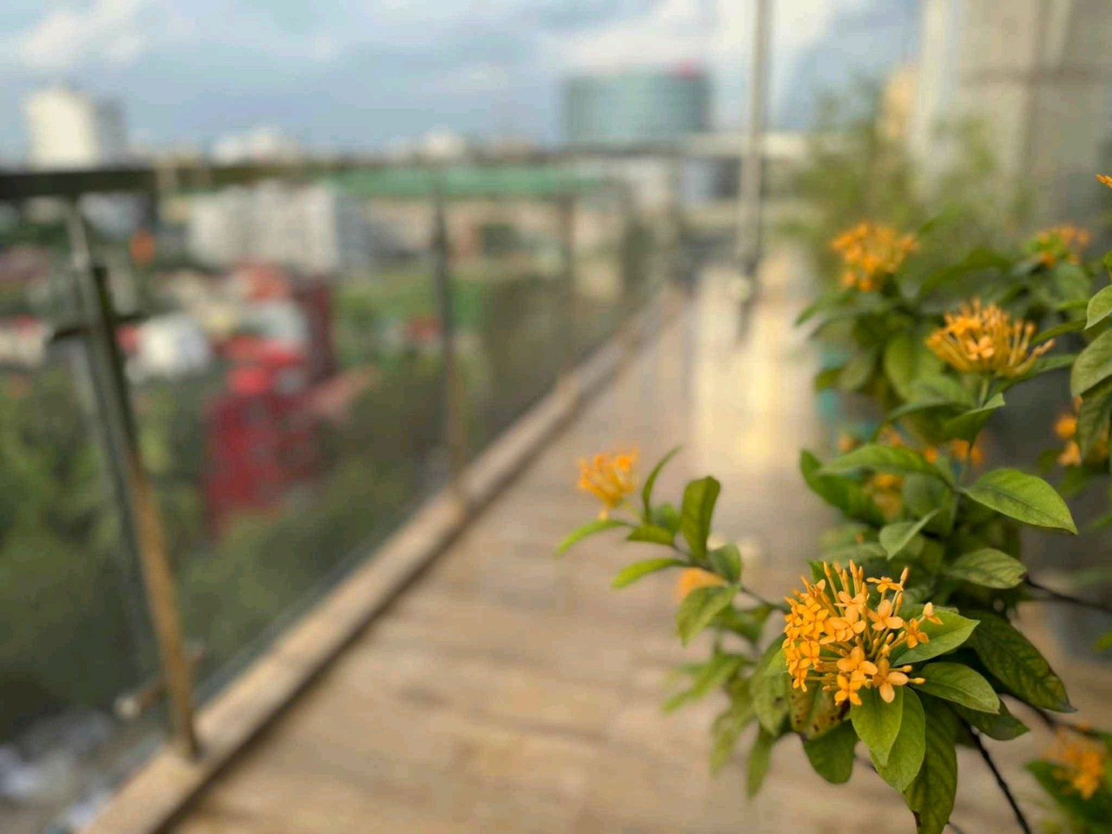 Hotel Novena Dhaka - Mirpur - Photo 4