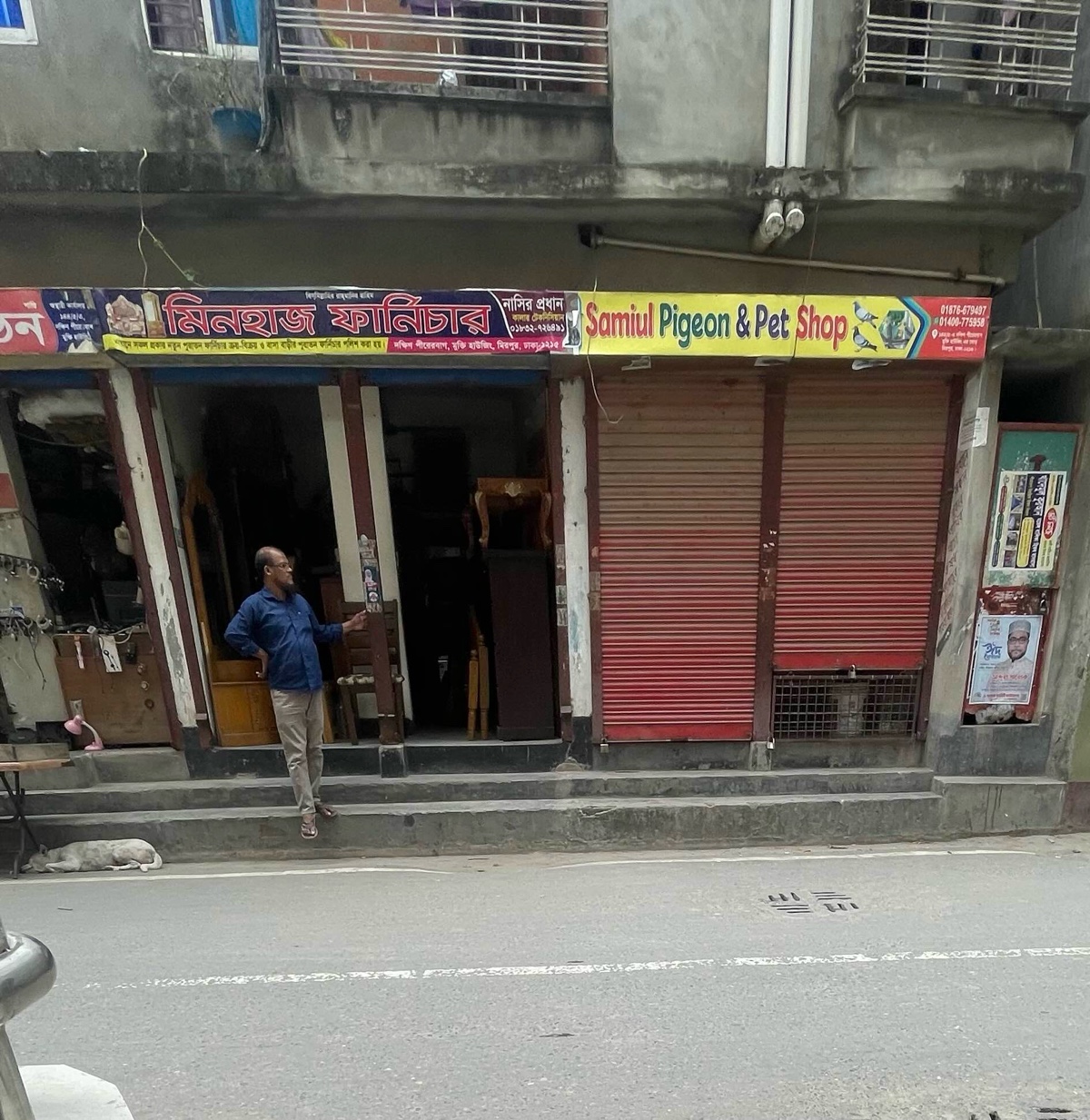 Samiul Pigeon & Pet Shop  - Photo 2