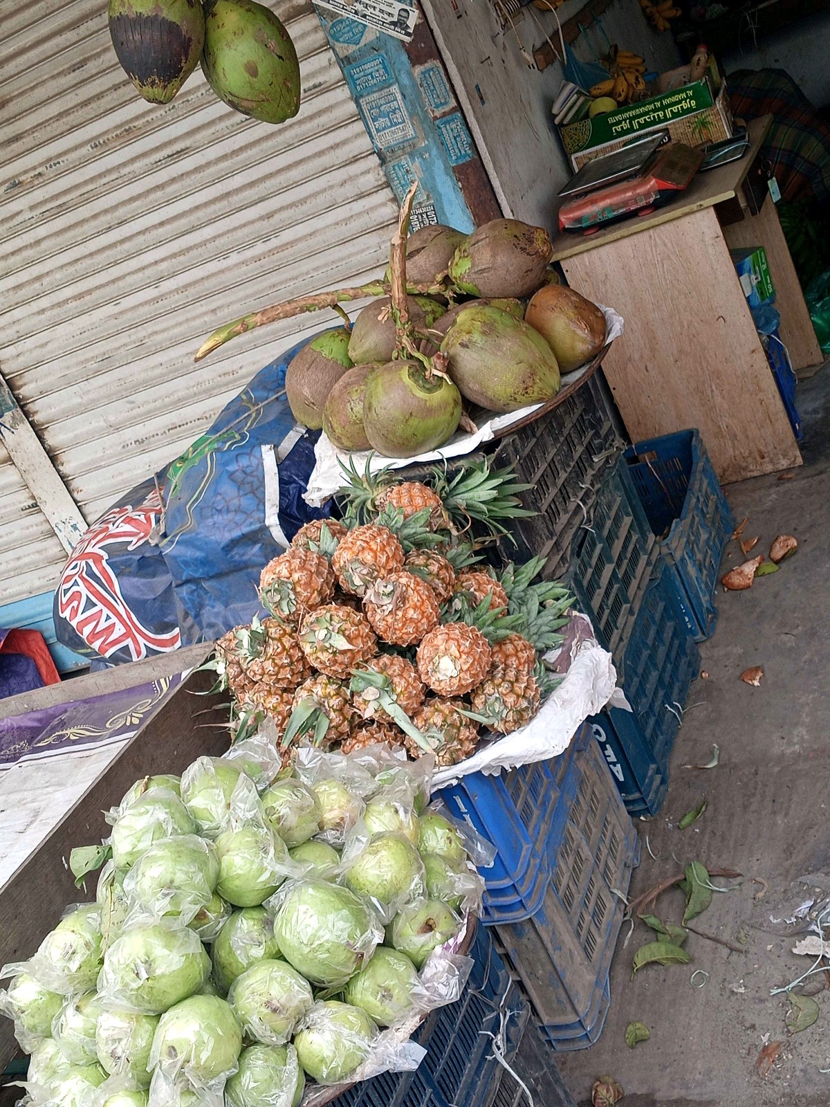 Ehsanul Fol Bhandar - Photo 1