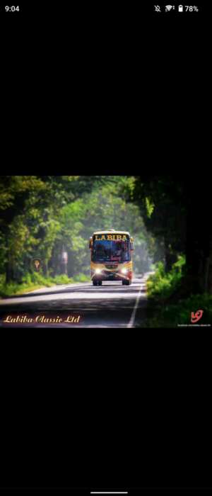 Labiba Classic Ltd. - Gabtoli - Photo 3