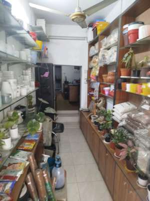 Inside view 