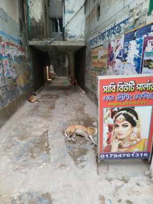 Entrance view