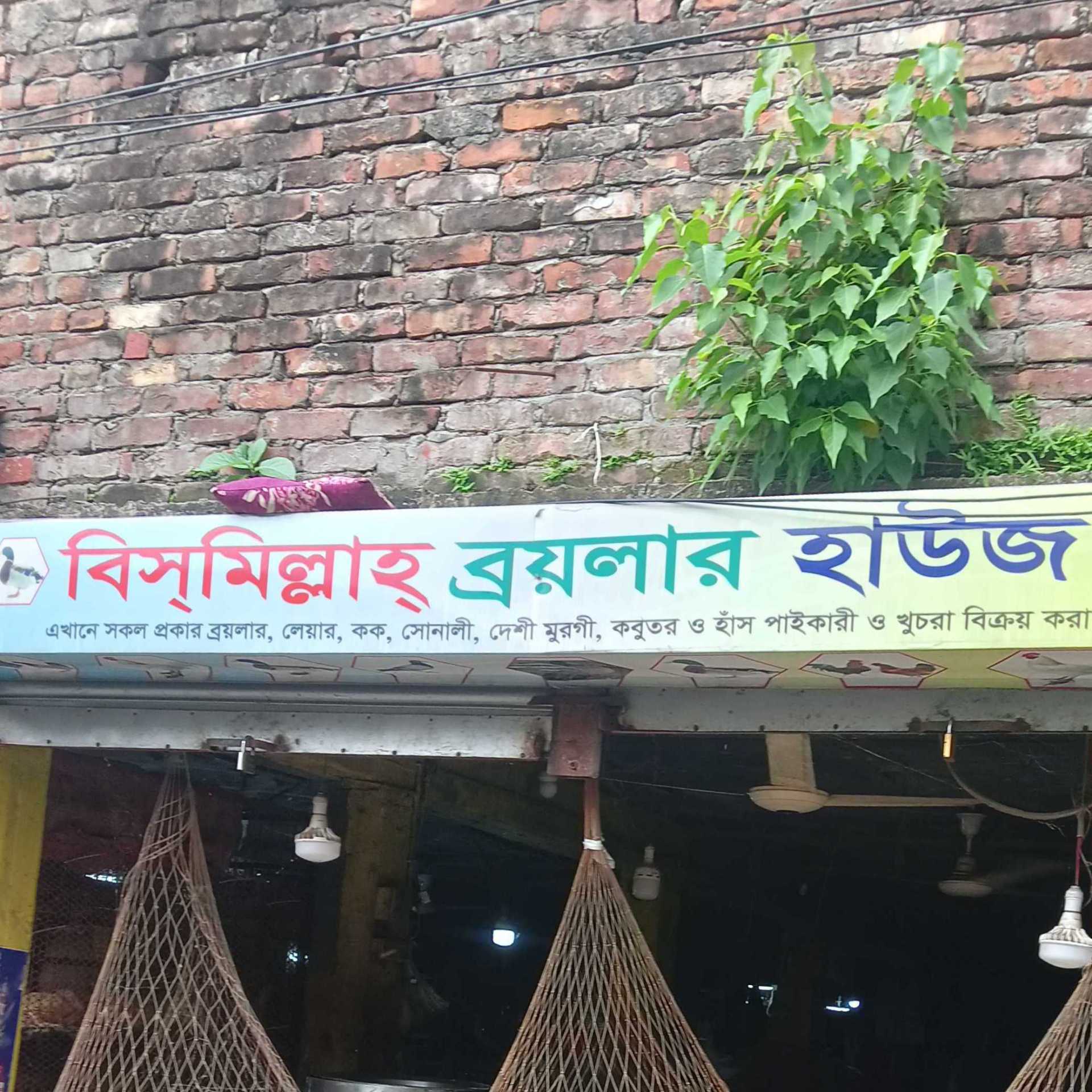 Bismilla Broiler House