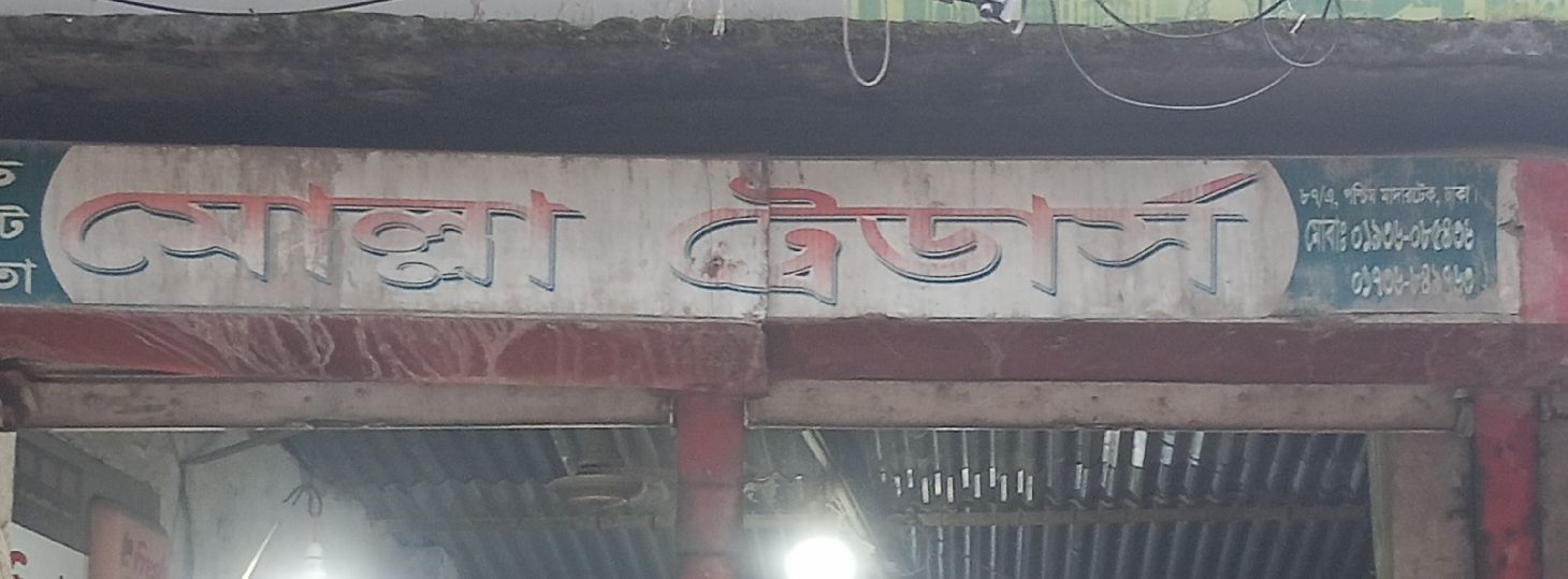 Molla Trader's