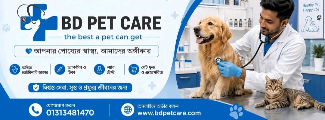 BD Pet Care