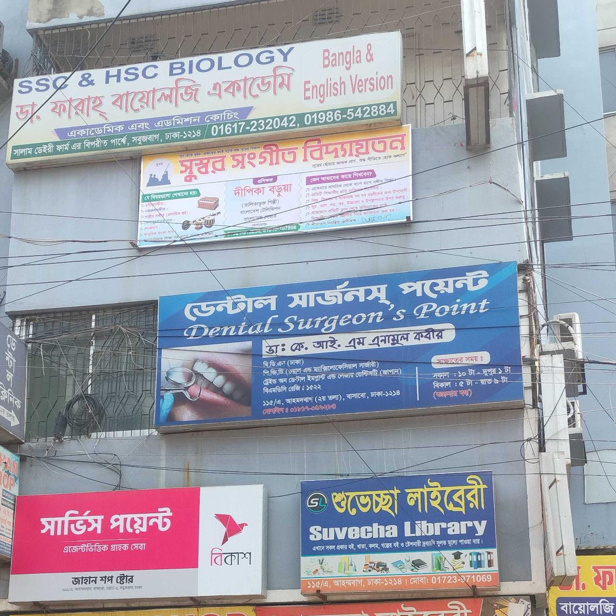 Dental Surgeon's Point
