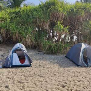 Beachside tent camping experience under palm trees at Chera Dip Road