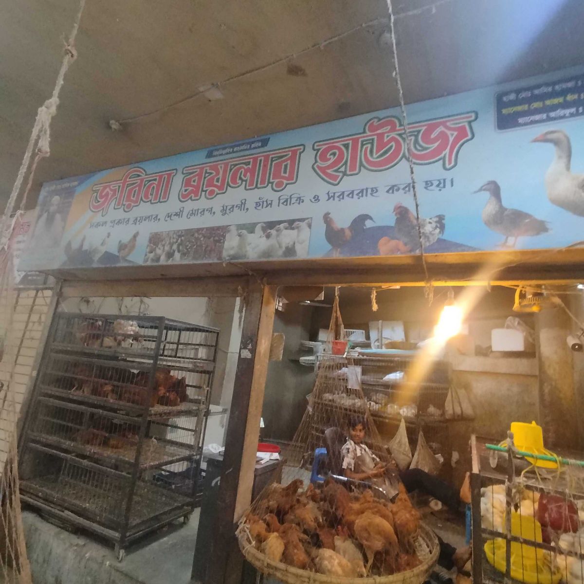 Jorina Broiler House
