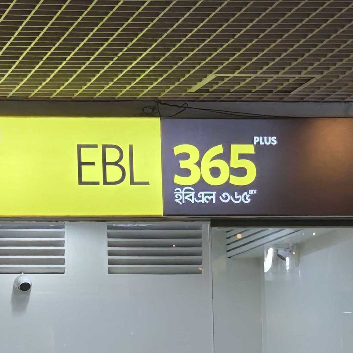 EBL 365 Plus