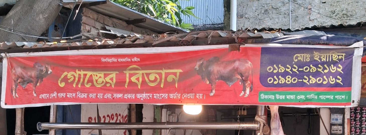 Goster Bitan