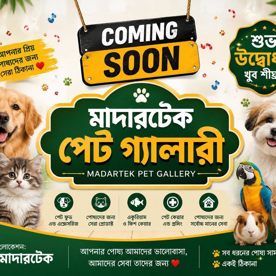 Madartek Pet Gallery