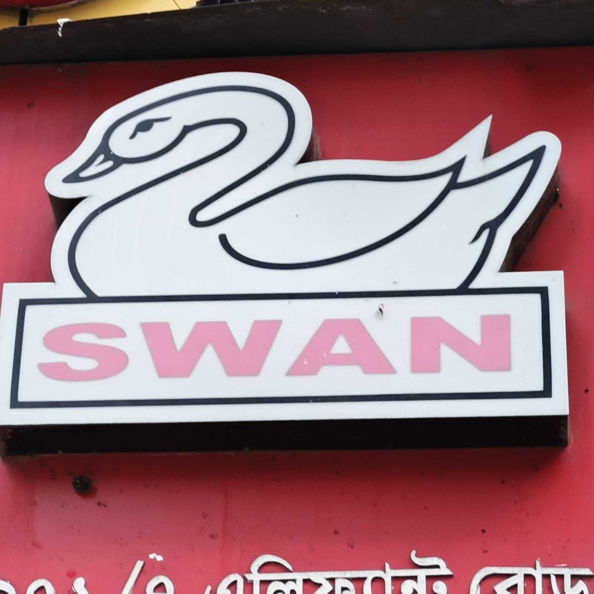 Swan